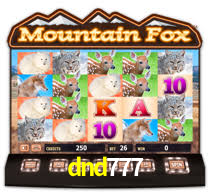 dnd777,dnd777.com