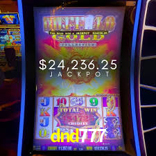 Live Casino dnd777